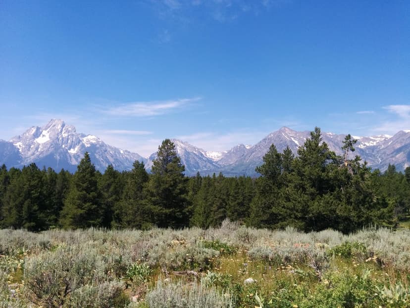 Grand Tetons