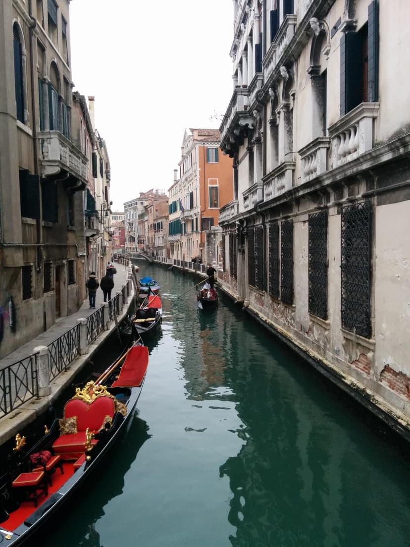 Venice, 2015