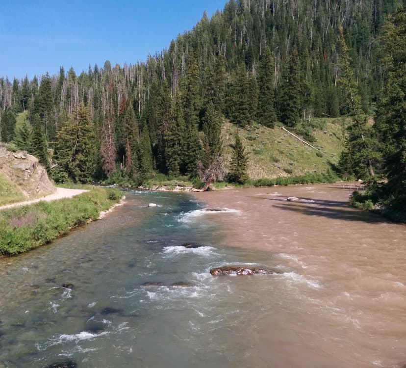 Yellowstone Rivers